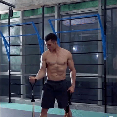 Home Gym Extreme Workout Fitnes